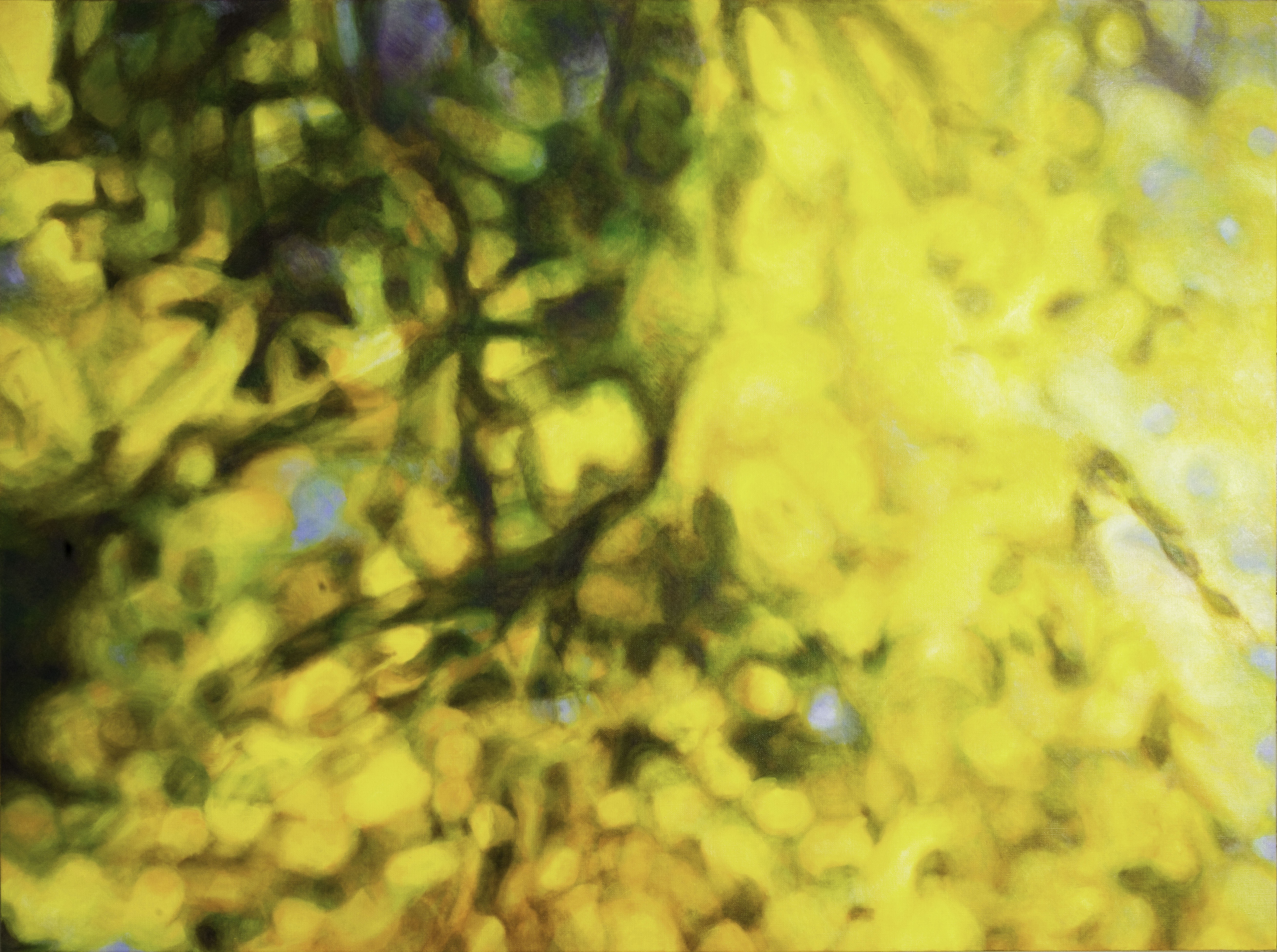 作品「揺光」2024年変更画像