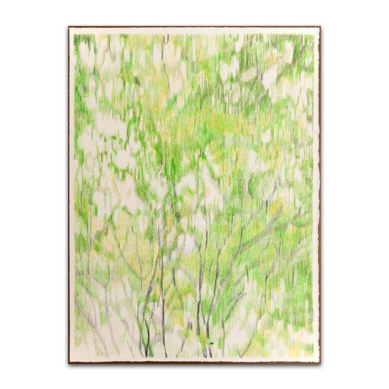 ドローイング「樹立のためにー緑」サムネ画像