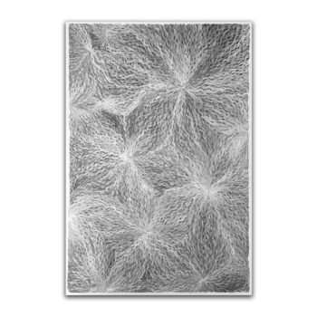 作品「連理ー鶴」サムネ