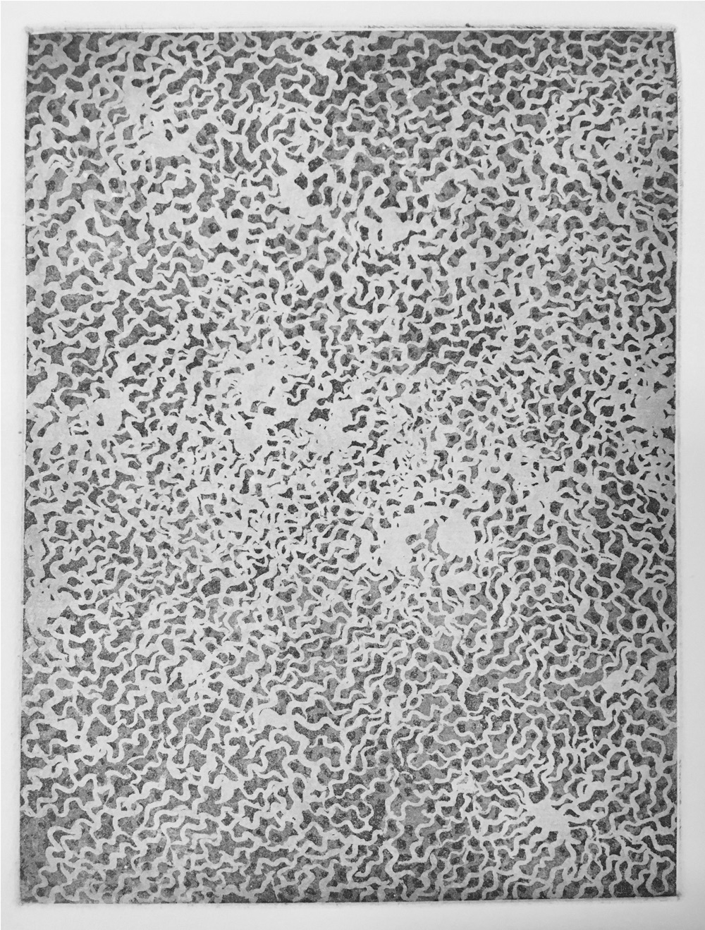 版画作品「水鏡」