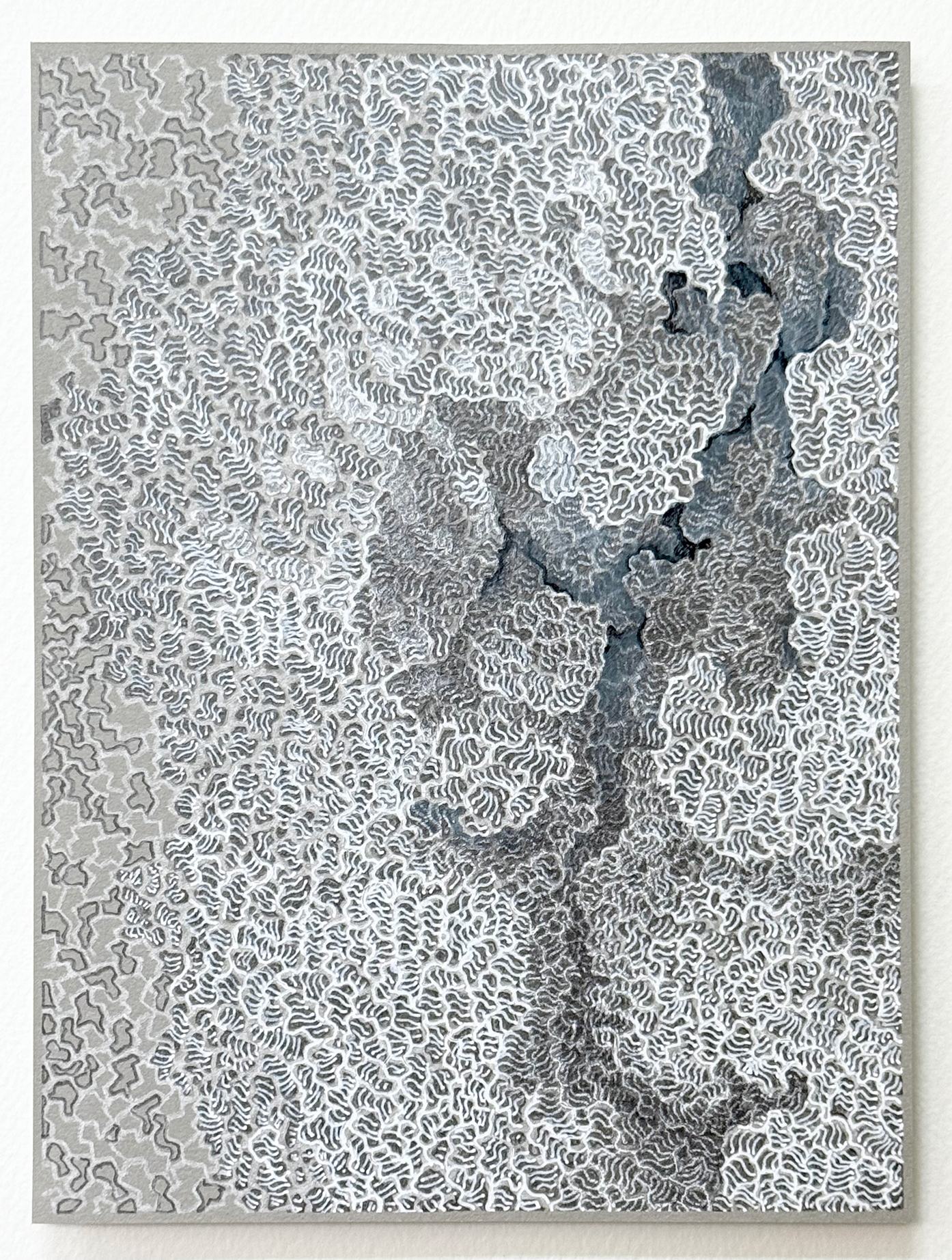 kasane2019-2画像