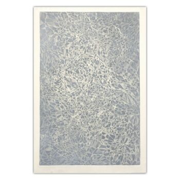 作品「霧氷光のキセキ」