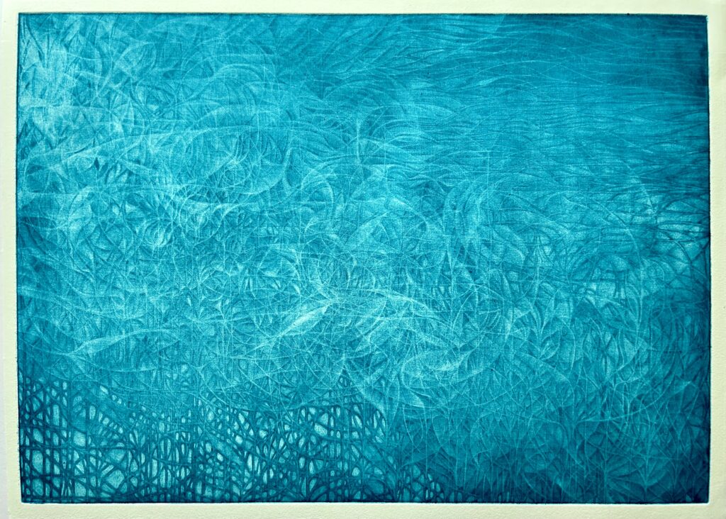 川田祐子の銅版画、「蒼刻の揺花」2023年作