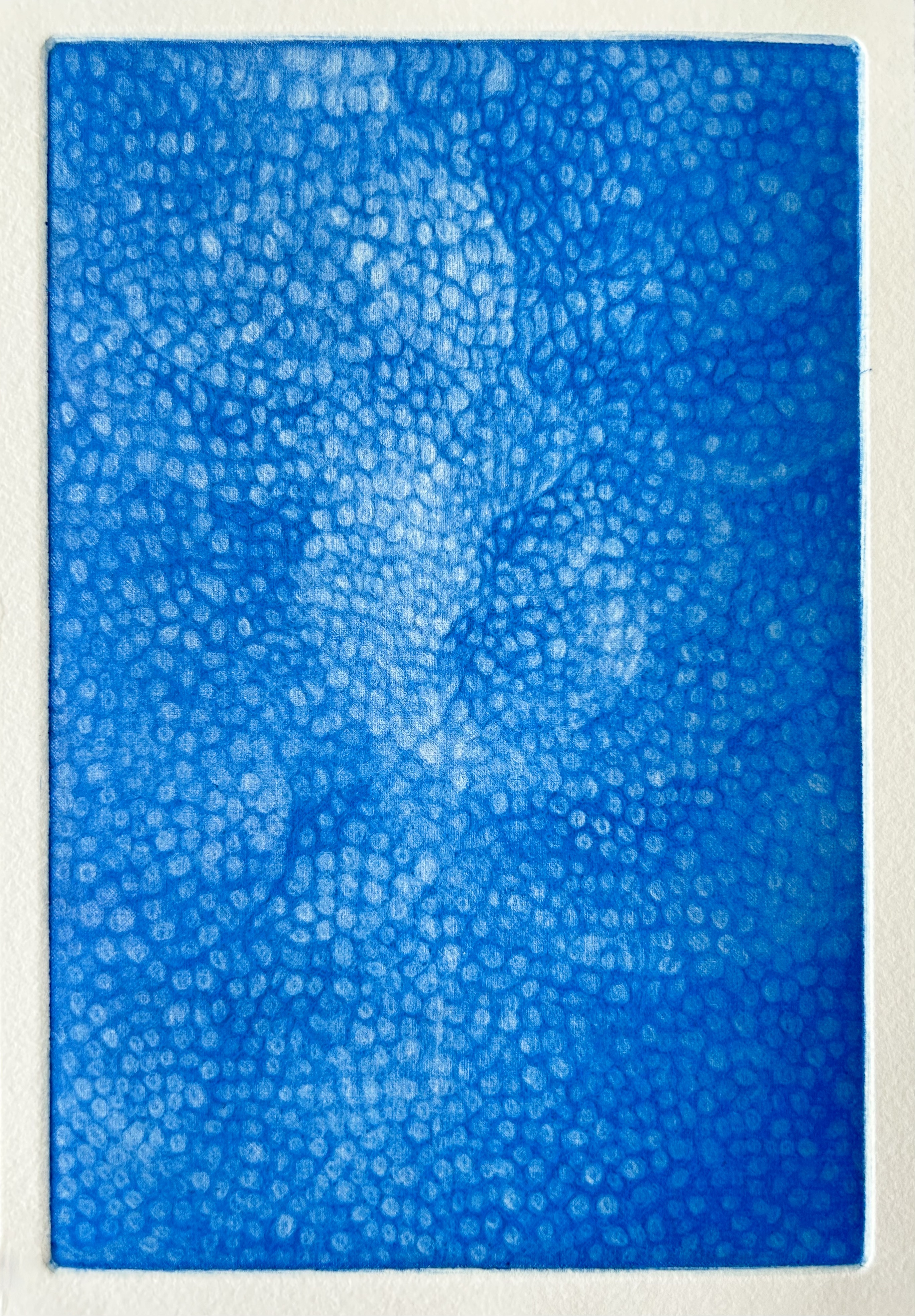 銅版画作品「包青花」接写画像