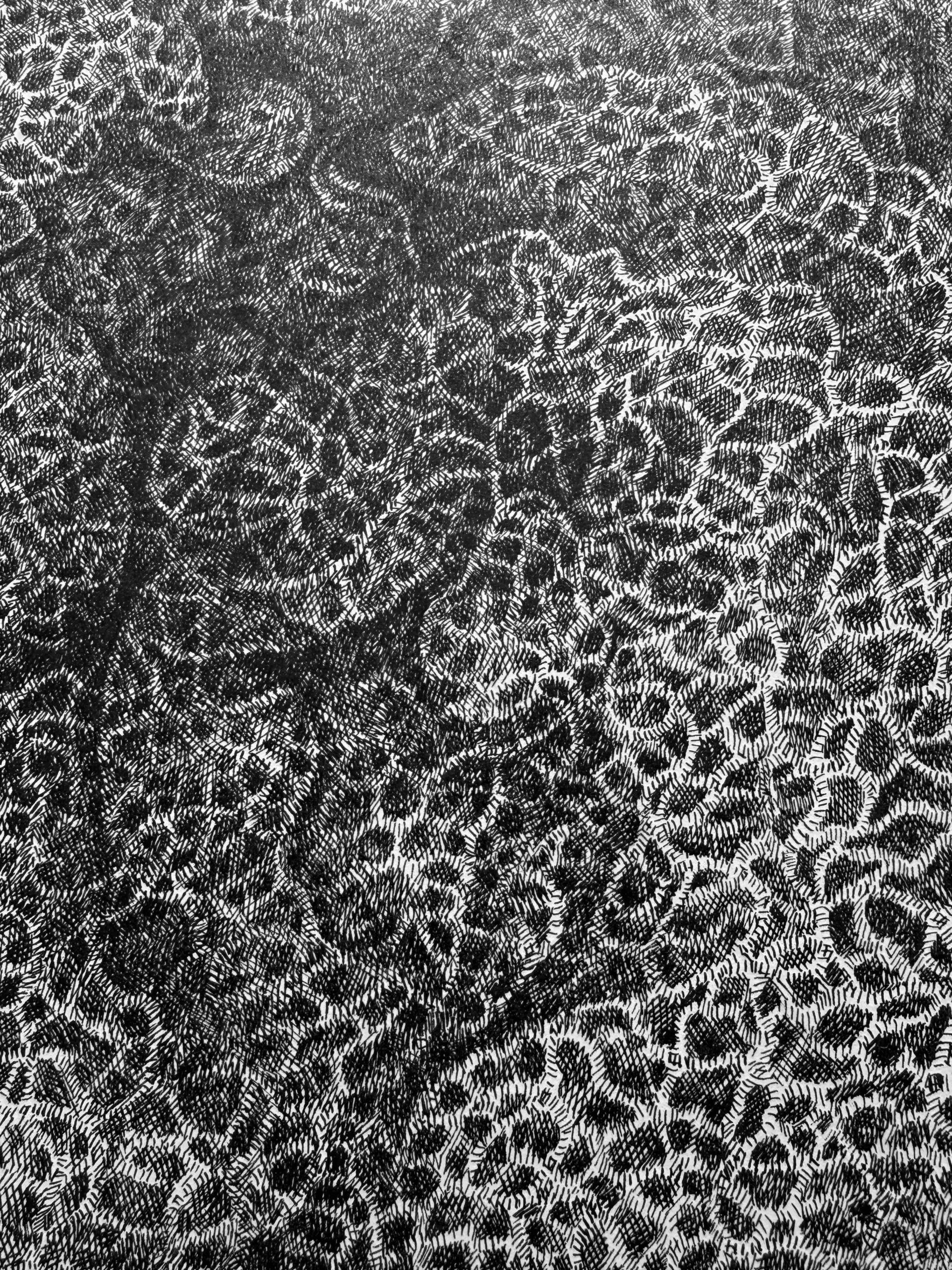 インク線描画『創生記』作品部分接写画像