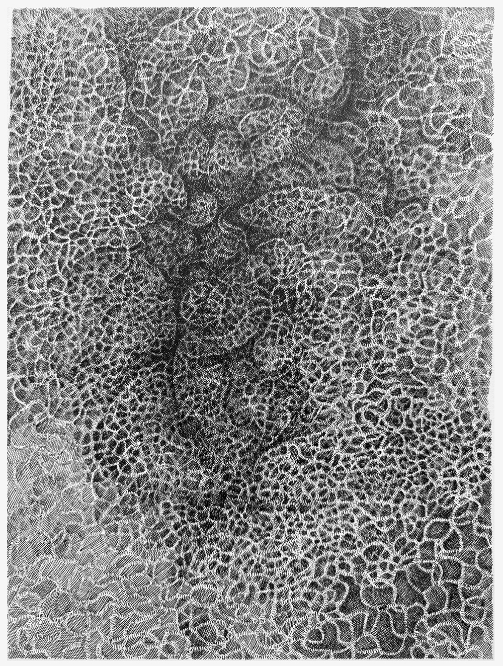 インク線描画『創生記』作品画像