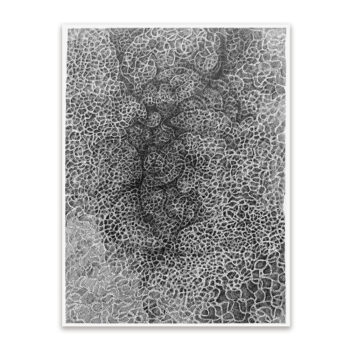 インク線描画『創生記』サムネ画像