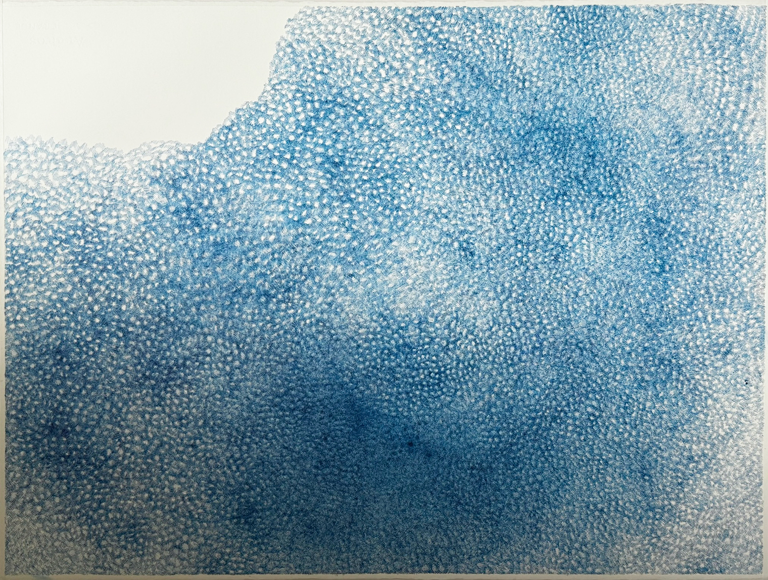 インクドローイング「透明の出現」作品画像