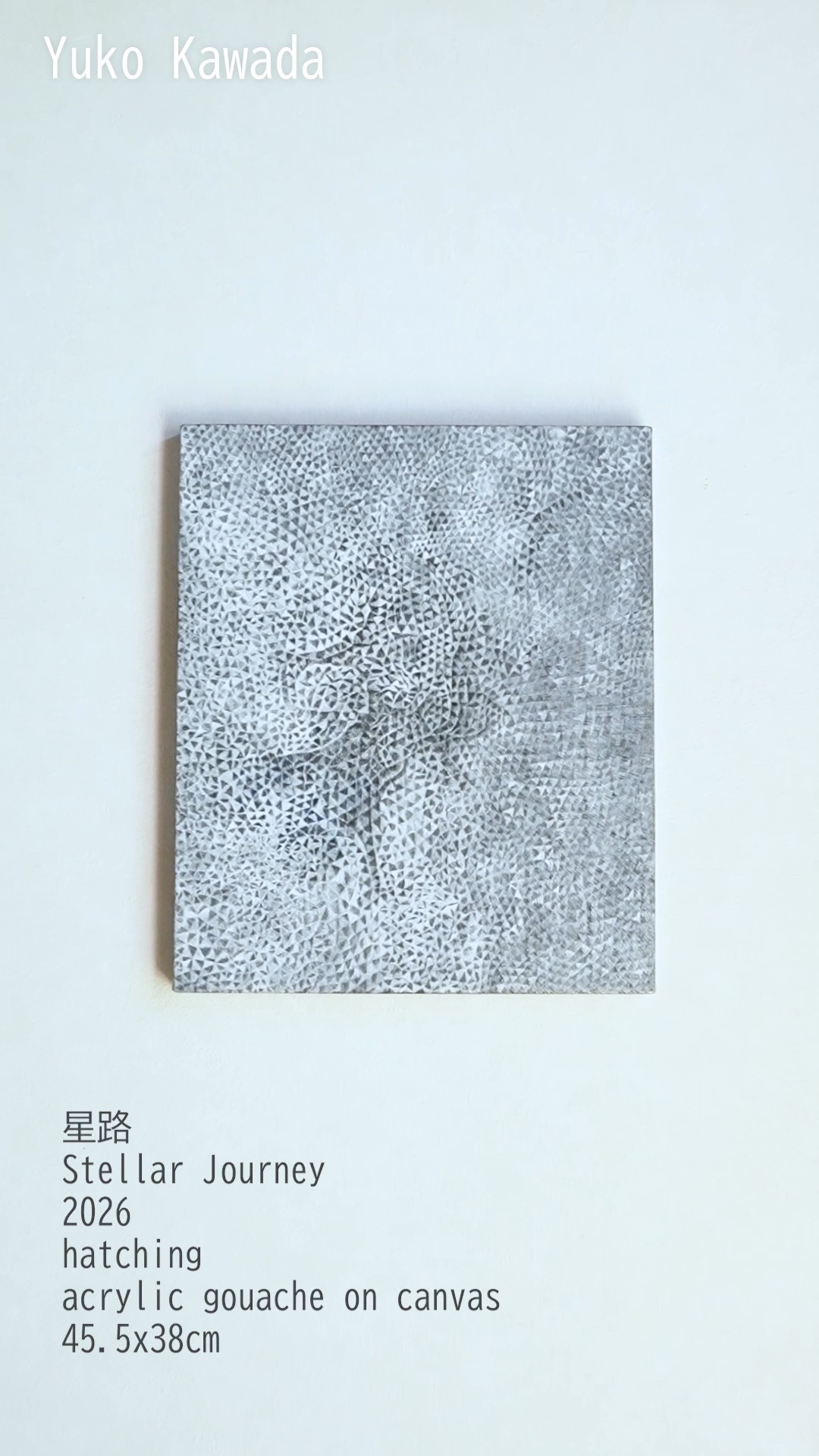 星路
Stellar Journey
2026
hatching
acrylic gouache on canvas
45.5x38cm
シルバーの下地をハッチングの線描で埋め尽くしました。天空から見守る星々との通路を開いて行きました。
https://kawadayuko.jp/atelier-gallery/2026/07/22/recent-works/