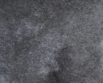 作品「砂上の網羅」画像