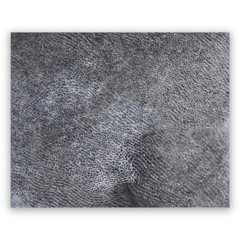 作品「砂上の網羅」サムネ画像