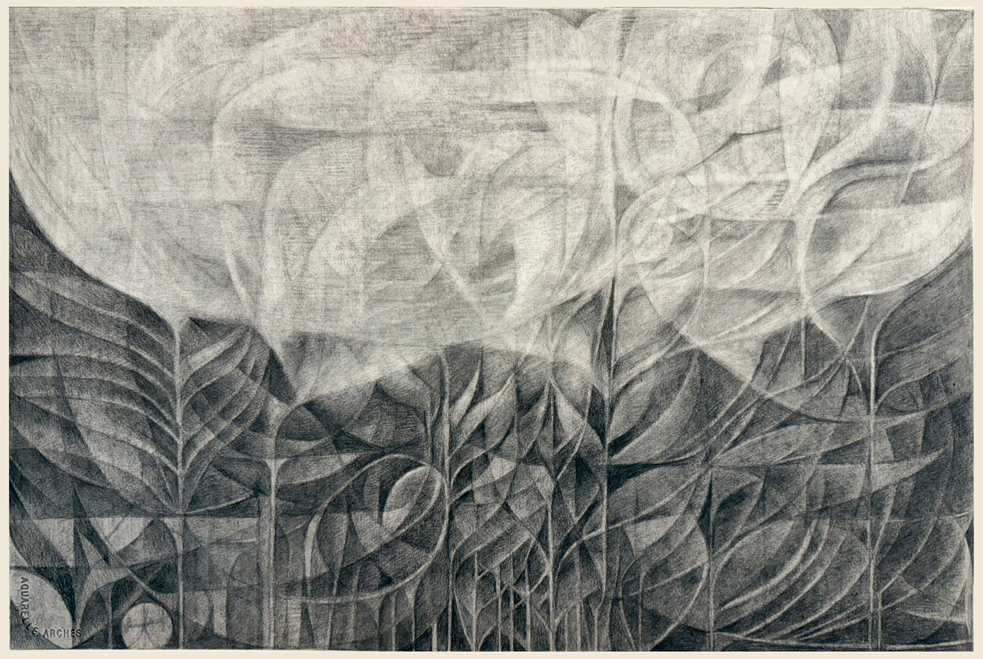 ドローイング作品「Metamorphosis-primitive」画像