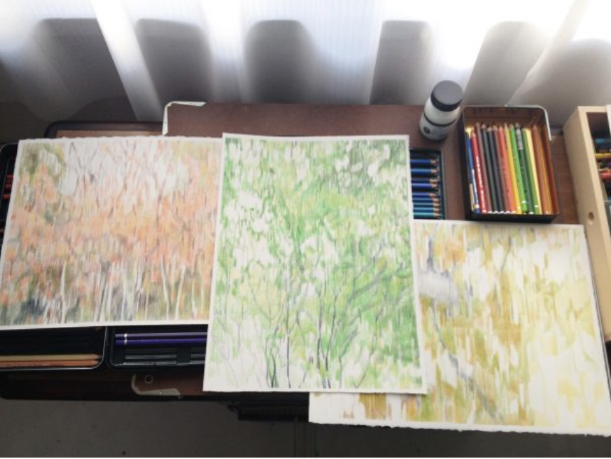 Yuko Kawada, 3 drawings, color pencil on paper, 2017-03