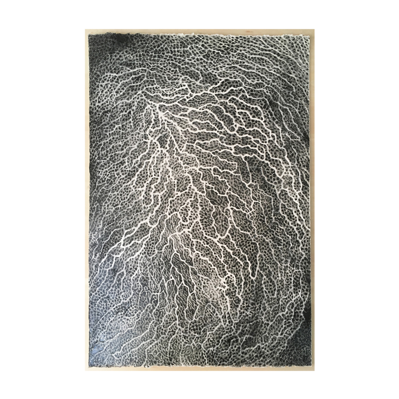 "Chain - Carp" (2018) by Yuko Kawada, ink on paper, 57.5 x 38.3 cm