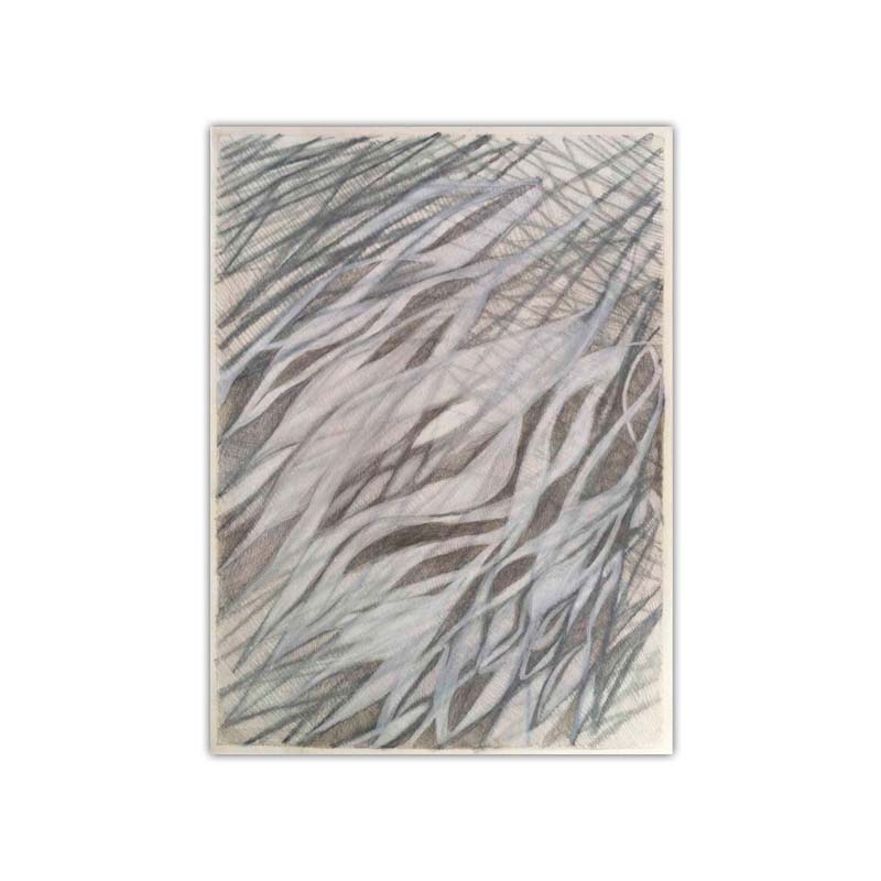 Eda to Kaze no Etude (Etude of Branches and Wind), silverpoint and conté drawing on prepared paper by Yuko Kawada