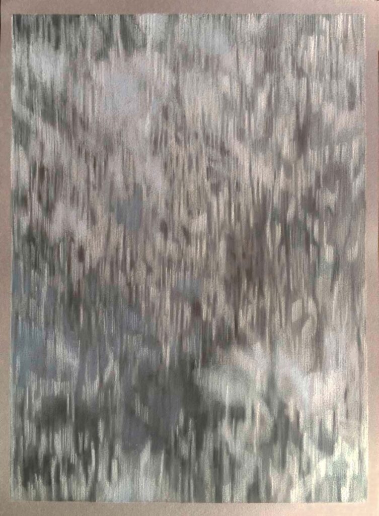 Rakuyou no Mori (Larch Forest in Falling Leaves), silverpoint and pastel drawing on prepared paper by Yuko Kawada