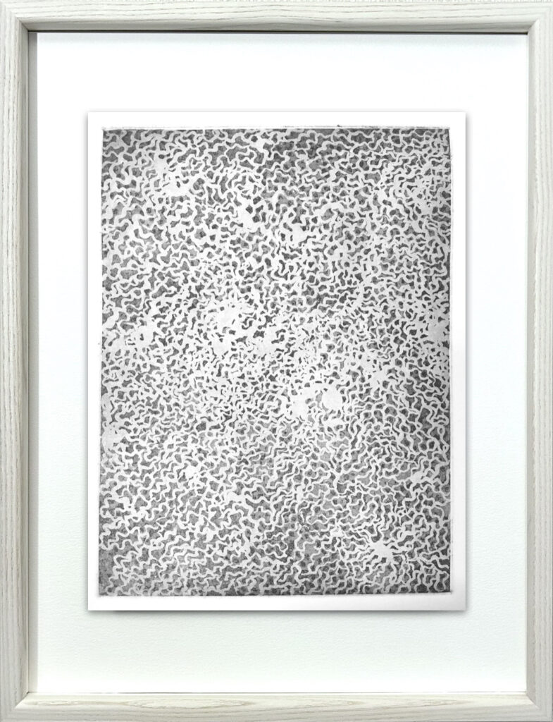水鏡／Water Mirror - アクアチント／Aquatint - 額装・frame