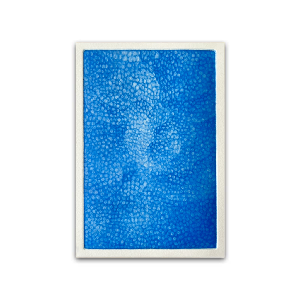 泡青花／Foam Blue Flower - サムネ画像／Thumbnail