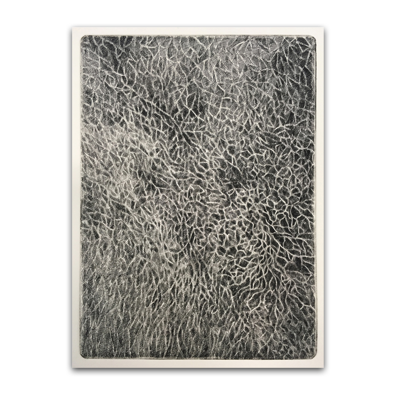 foglia/Leaf - メゾチント/Mezzotint - サムネ画像/Thumbnail