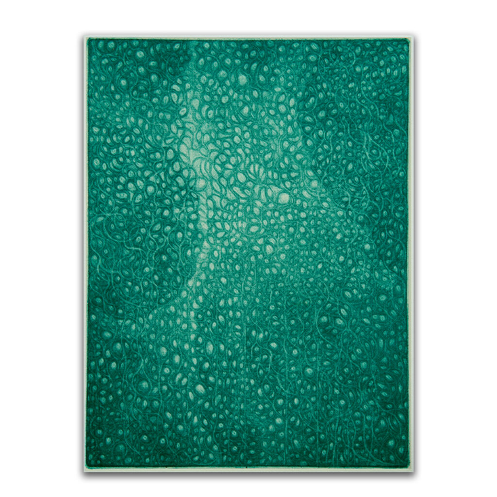 宝石の庭 Garden of Jewels 2026 ed.12 カラー・メゾチント 画:24x18cm 紙:26.6x19.6cm サムネ画像