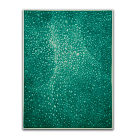 宝石の庭 Garden of Jewels 2026 ed.12 カラー・メゾチント 画：24x18cm 紙：26.6x19.6cm サムネ画像