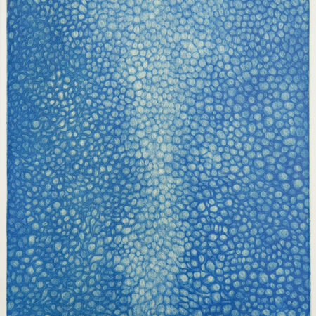 宝石の空 Sky of Jewels 2026 ed.10 カラー・メゾチント 画：24x36.5cm 紙：26.8x39.4cm シート画像