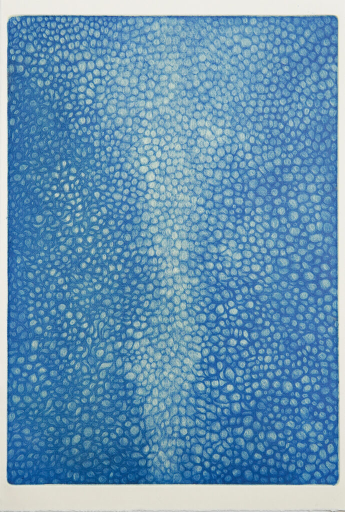 宝石の空 Sky of Jewels 2026 ed.10 カラー・メゾチント 画:24x36.5cm 紙:26.8x39.4cm シート画像