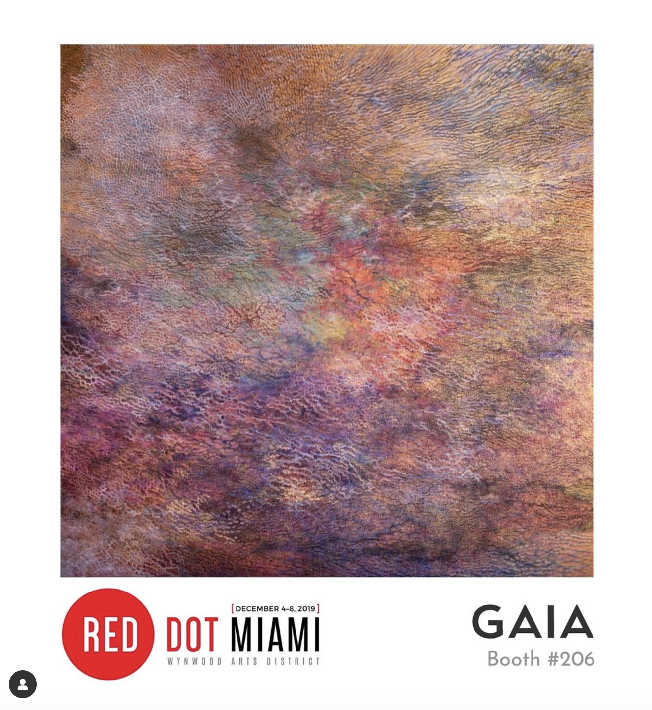 gaia-miami-e1733375193412.png