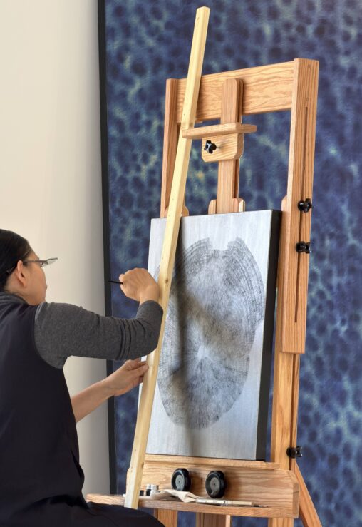 アメリカでの公開制作