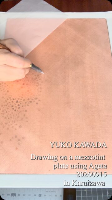 目立てが終わったメゾチント版に、メノウ石のAgataという描画材で、ドローイングして行きます。  私は下絵無しで即興で描きます。  私の人生は失敗ばかりで成り立っているので、今や失敗を恐れない境地までになりました（苦笑）  失敗こそが味であり、その人の個性だとすら思っています。だからどんな人の失敗も愛おしい。そのドラマを正直に作品として残しても愛される世界が、私の想い描く理想の世界です。  I am drawing on a prepared mezzotint plate using an agate tool named Agata.
I draw improvised, without any preliminary sketches.
My life has been built on a series of failures, so I’ve reached a point where I no longer fear making mistakes (laugh).
I actually believe that failures are what add character and reveal a person's true individuality. That’s why I find everyone's missteps so endearing. A world where people can honestly leave their personal dramas behind in their work and still be loved for it—that is the ideal world I dream of.